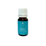 Eterično ulje Dr. Temt Pačuli 10 ml